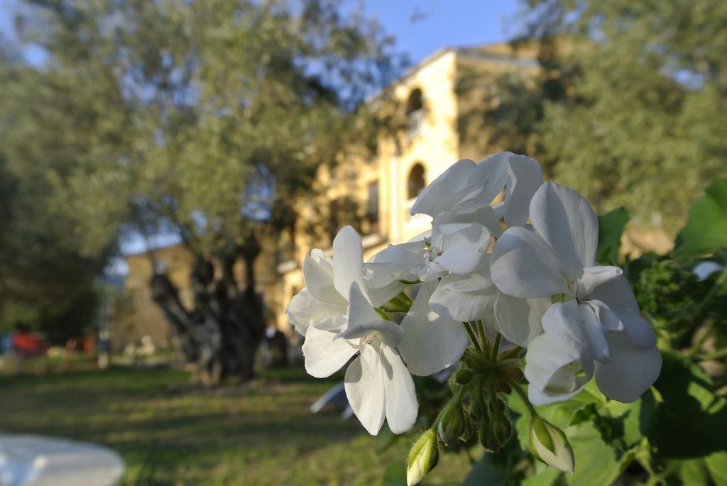 Maset Del Garraf Vendégház Olesa de Bonesvalls Kültér fotó